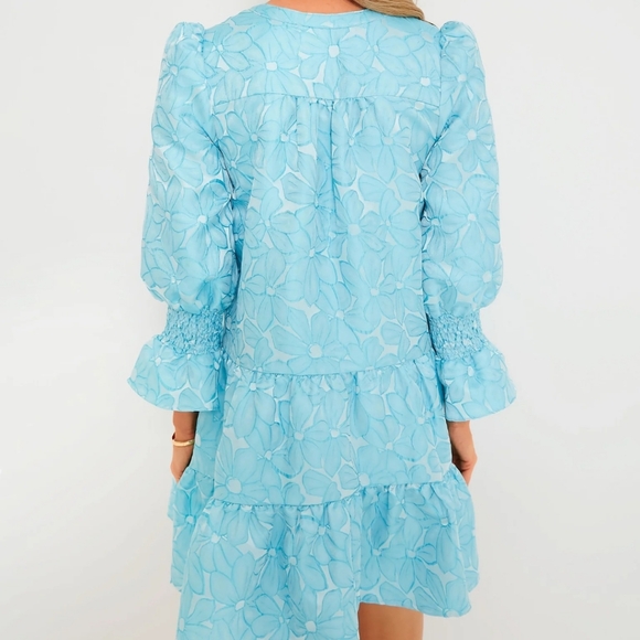🏷️Tuckernuck Pomander Place Blue Daisy Jacquard Kenzo Tiered Dress XXXL - Picture 5 of 12